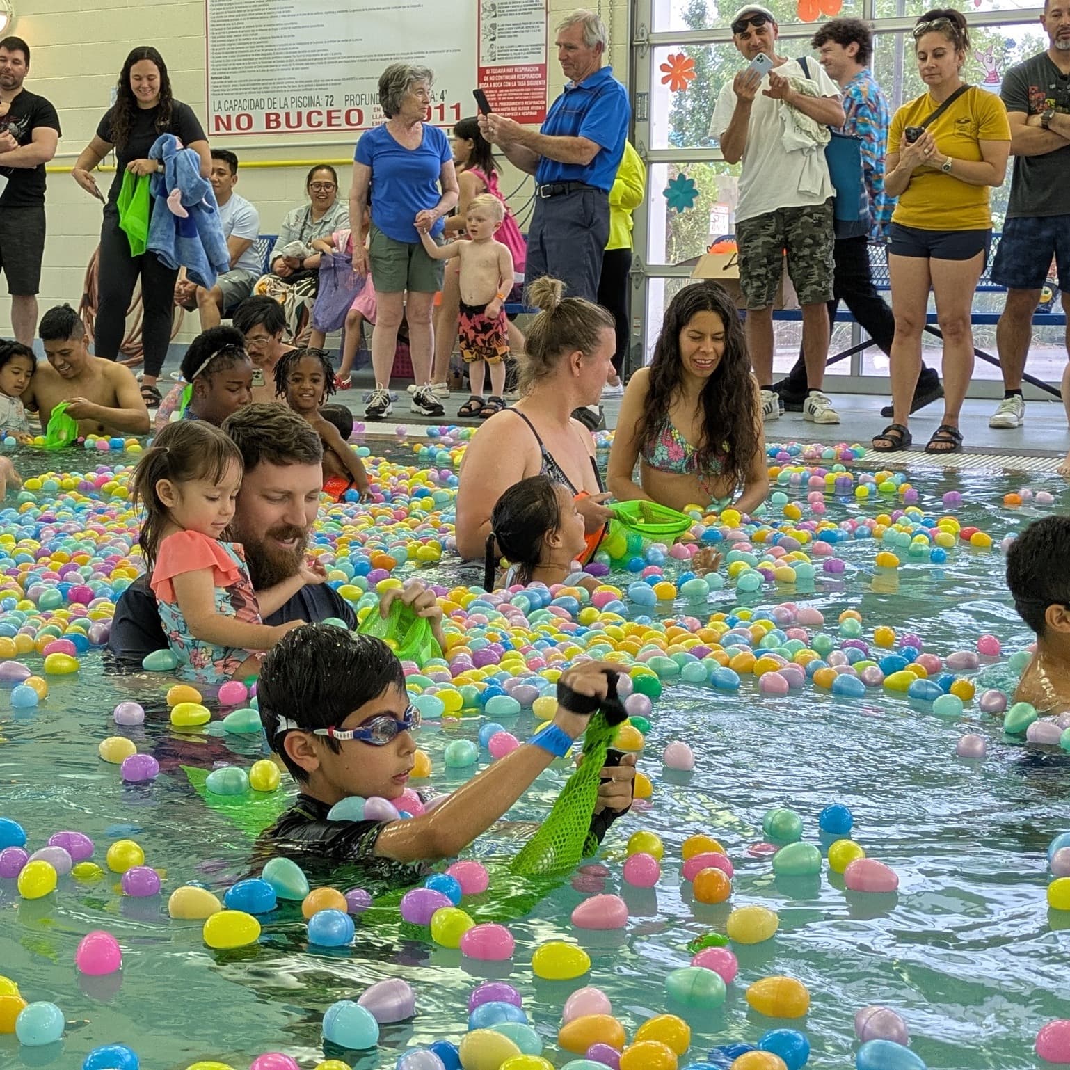 Egg Dive at Aquatic Springs Pool
