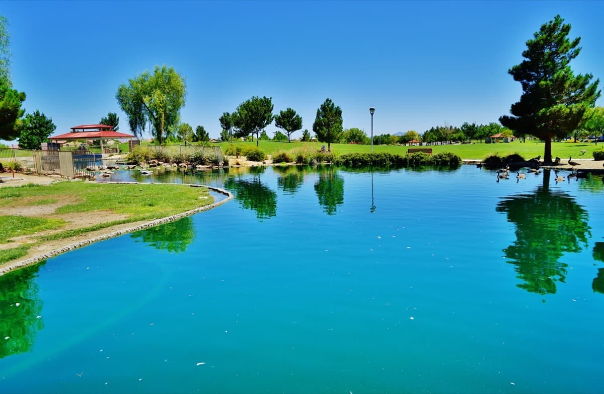 Aliante Nature Discovery Park