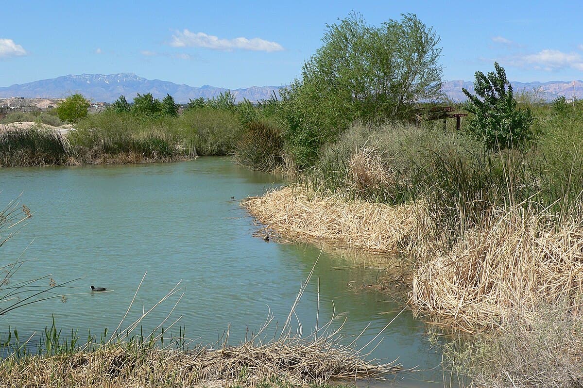 Clark County Wetlands Park