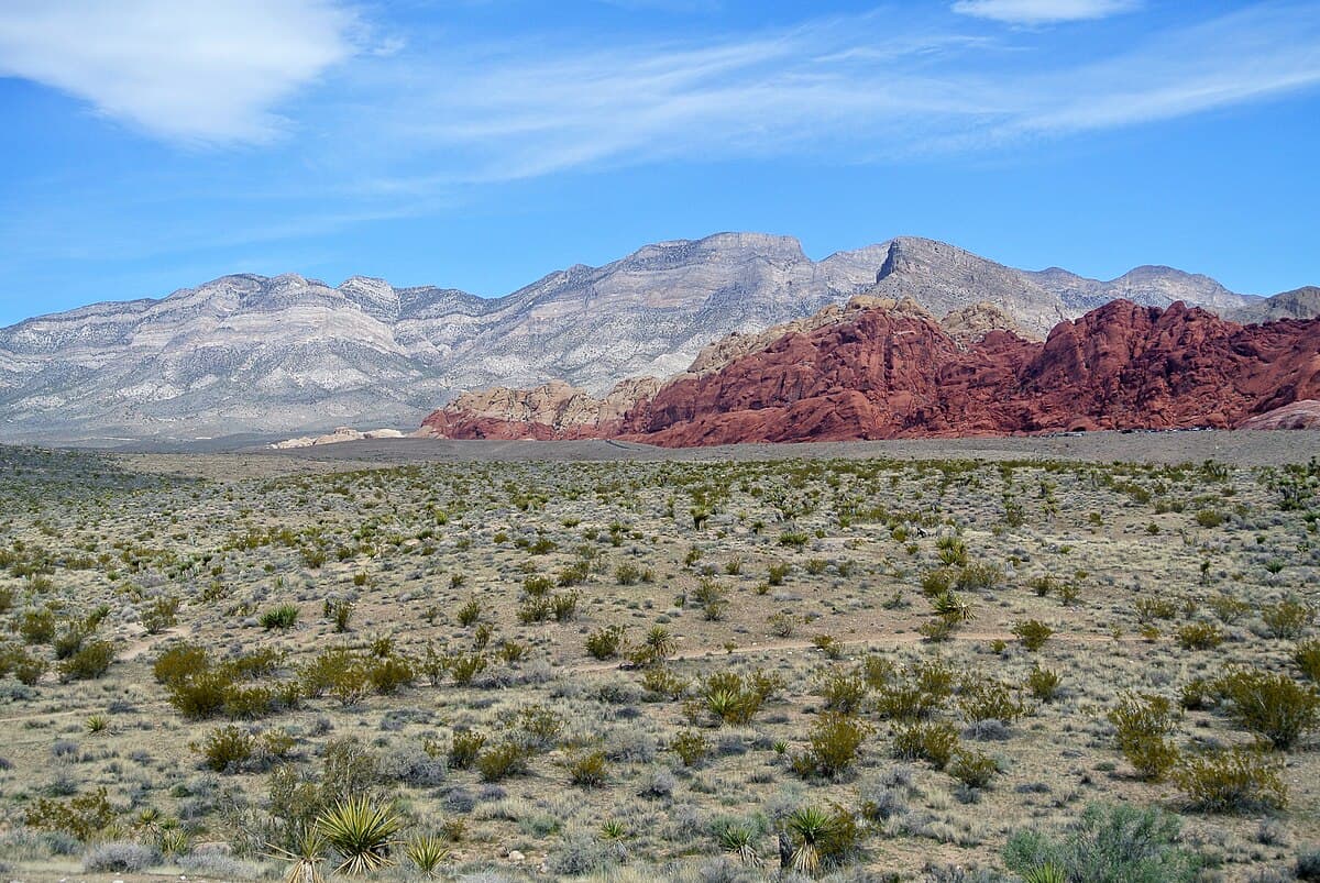 Red Rock Canyon Junior Ranger Day